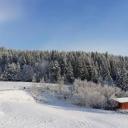 1 Lägenhet Dalen
