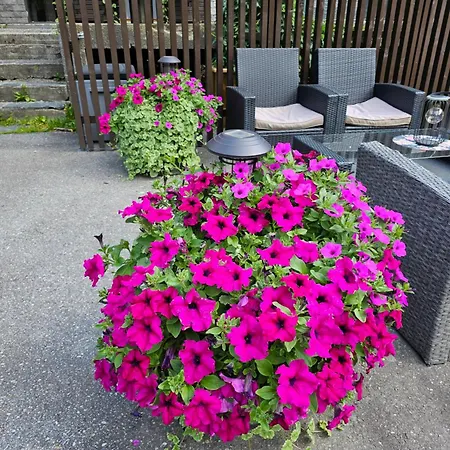 Appartement 1 *