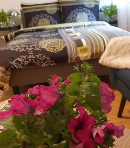 1 Appartement Dalen